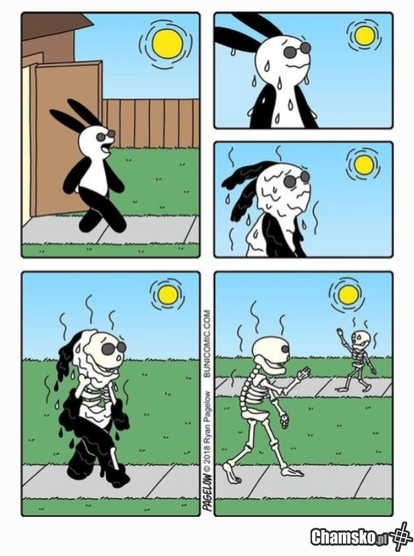 Już niedługo w Polsce: