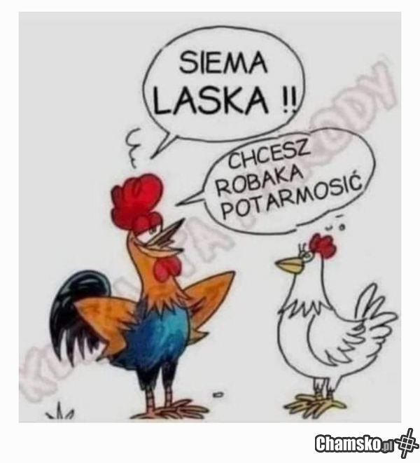 Tarmoszenie robaka