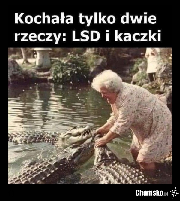 Babcia