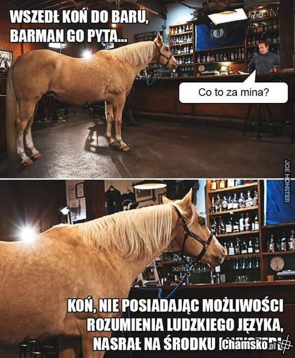 BADUM TSS