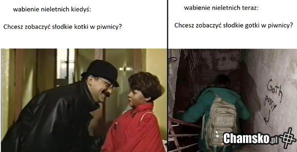 Gotki lepsze niż kotki