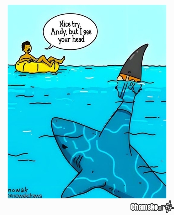Uważaj rekin!