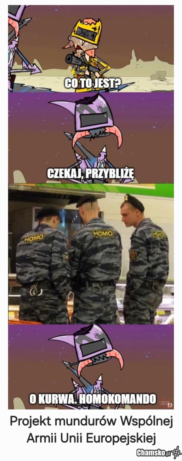 Jedna armia Unii Europejskiej