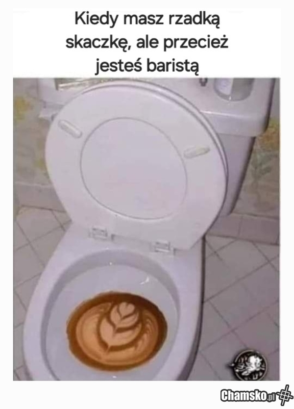 Barista