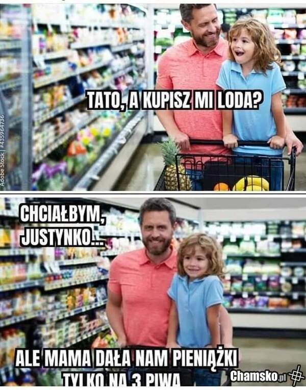Pato rodzina
