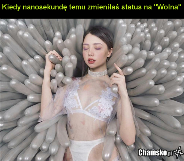 Zmiana statusu