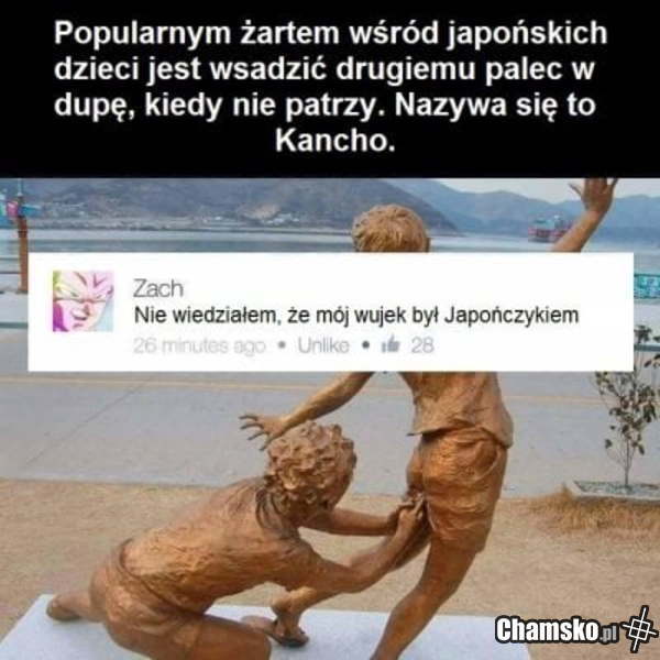 Wujek z Japonii