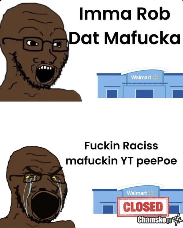 Małpy takie sa