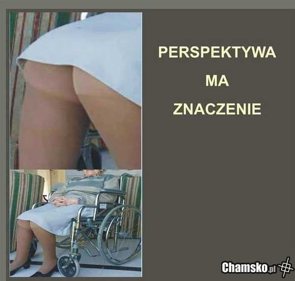 Perspektywa