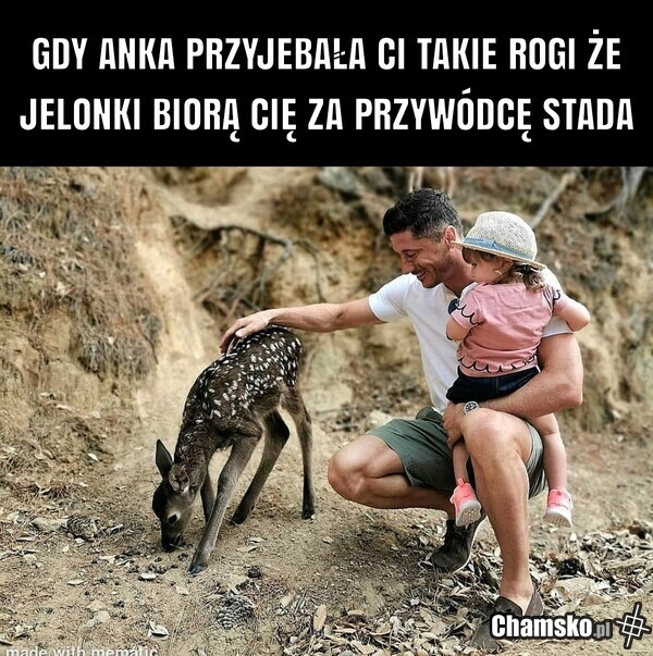 Robercik
