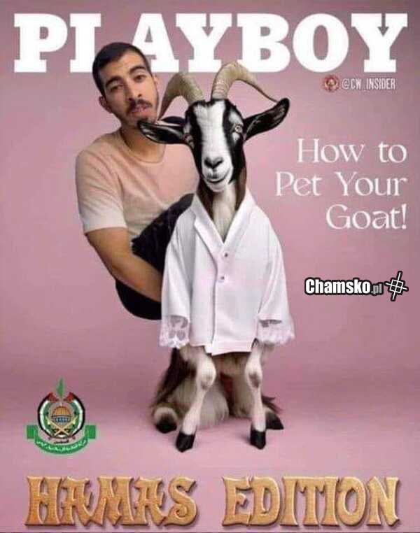 Nowy Playboy