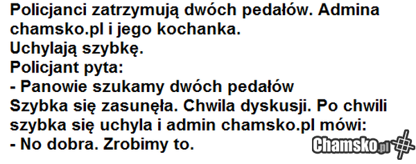admin chamsko.pl