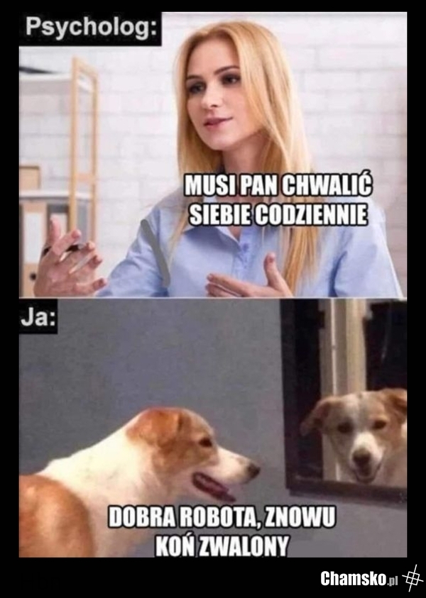 Chwalipięta