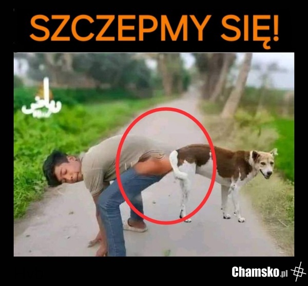 Szczepmy się!