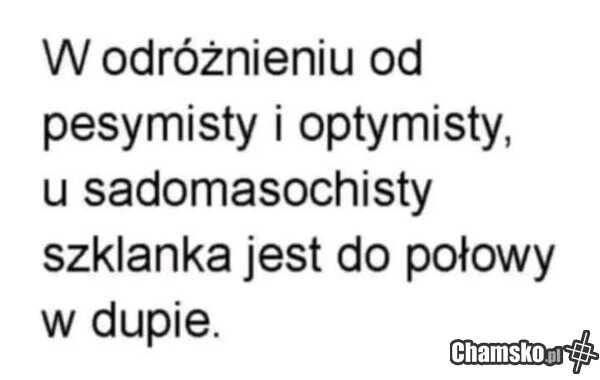 Optymista / pesymista / sadomasochista