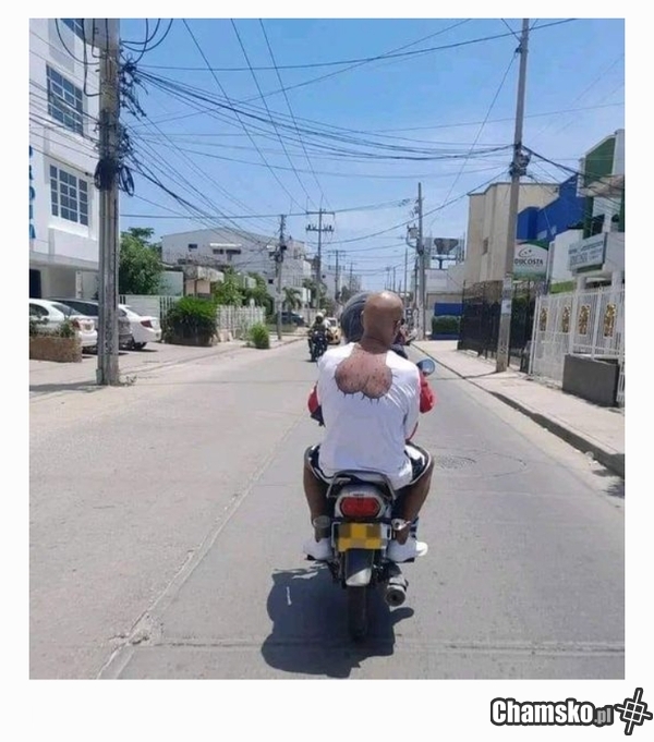 Jajcarz