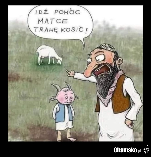 Pomóż matce trawę kosić!