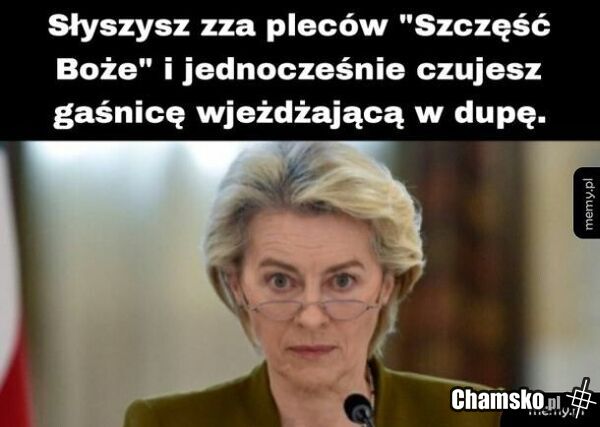 Leci samolocik