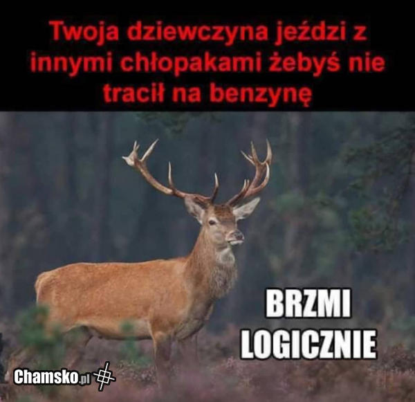 Twoja dziewczyna