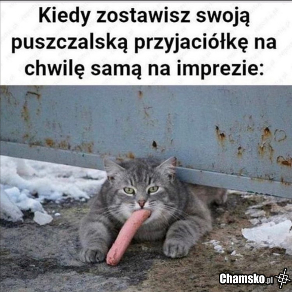 Koleżanka na imprezie