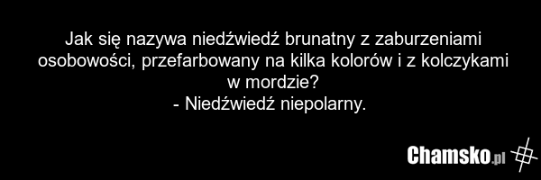 Jak się nazywa niedźwiedź brunatny z zaburzeniami osobowości, przefarbowany na kilka kolorów i z kolczykami w mordzie? - Niedźwiedź niepolarny.