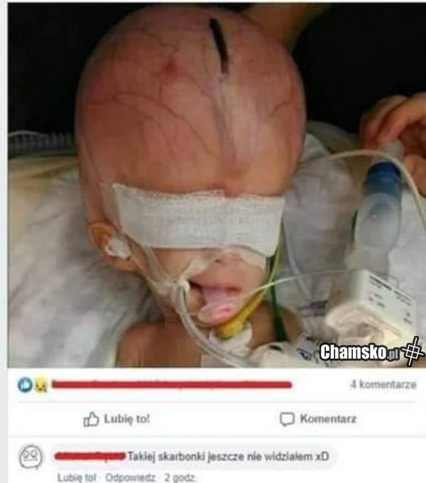 Ktoś widział?