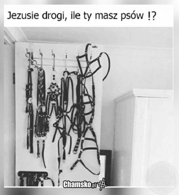 Psy