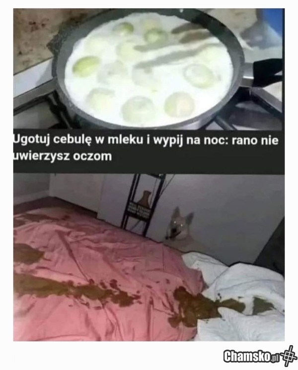 Napijesz się tego eliksiru i rano obudzisz się z Czekodżemi w łóżku!