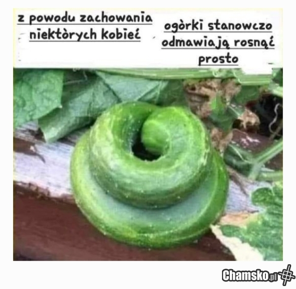 Jakaś nowa odmiana?