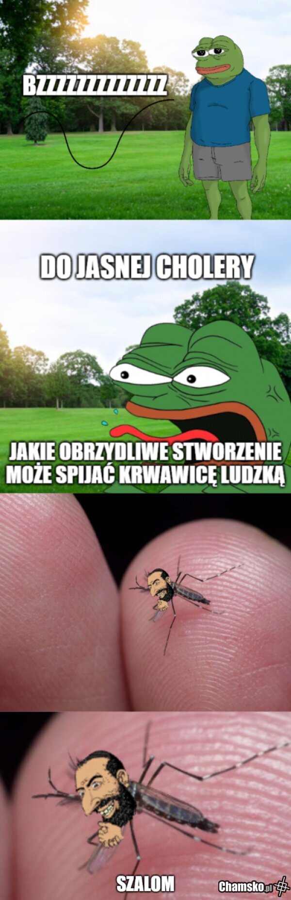 Bzzzzzzz
