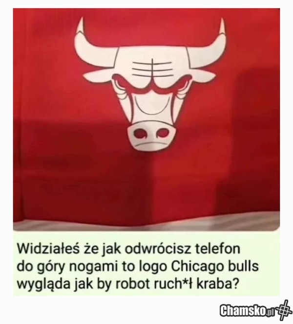 Chicago Bulls