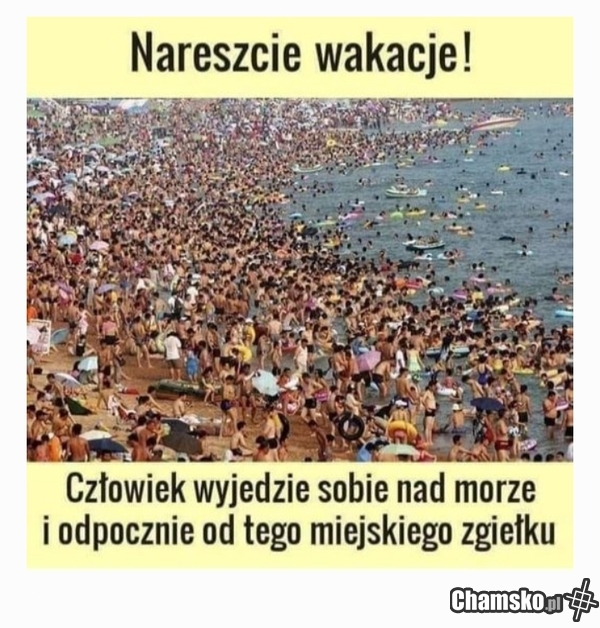 Wakacje!