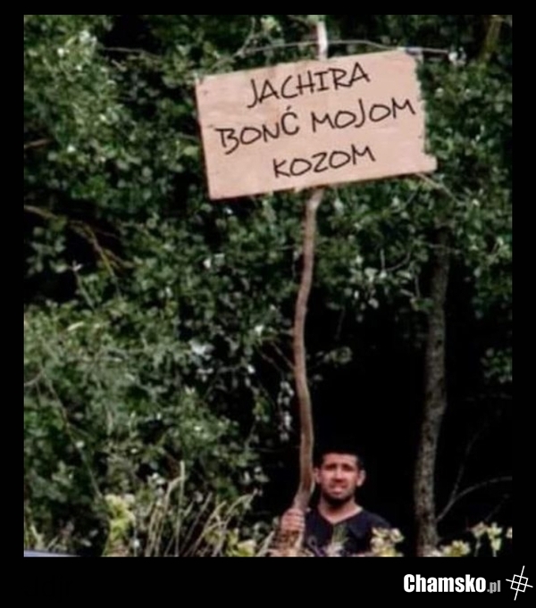 Yachira Yachira!
