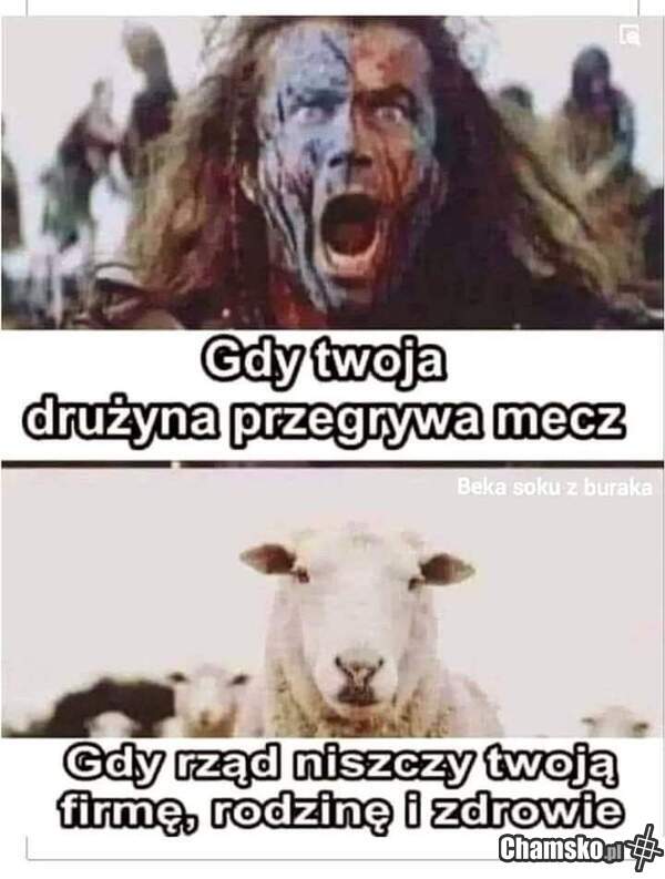 Meczyki