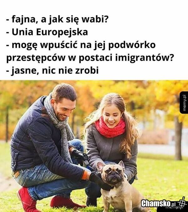 eurokołchoz