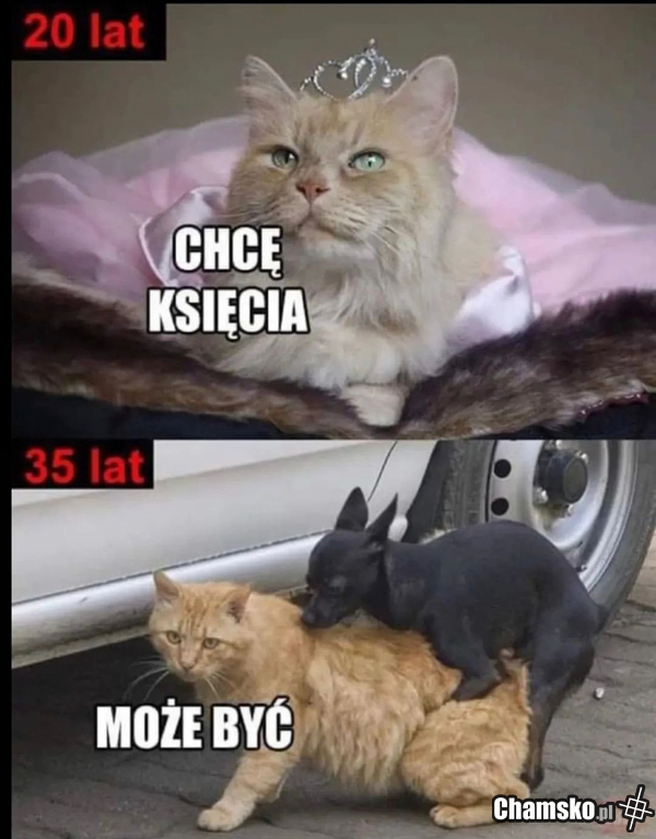 Księciu