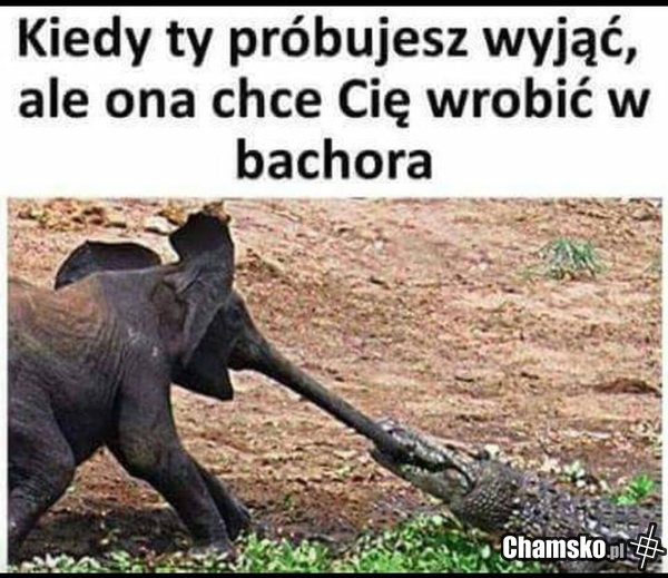 Seks bez zobowiązań