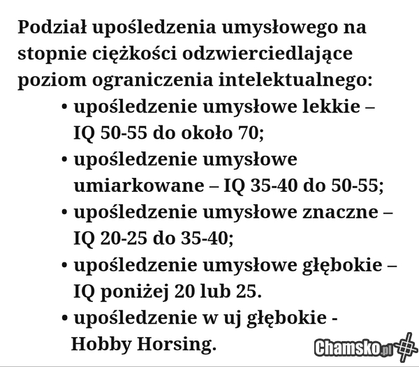 Hobby Horsing