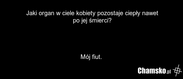 Jaki organ w ciele kobiety pozostaje ciepły nawet po jej śmierci? Mój fiut.