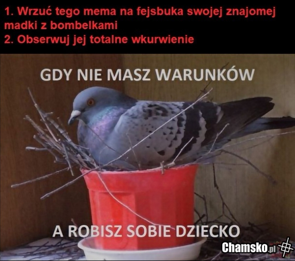 Dzieci