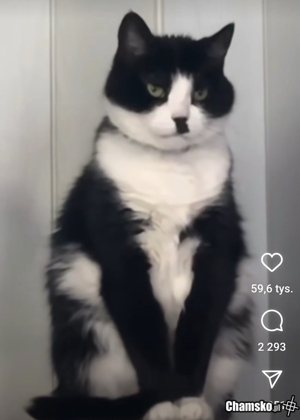 Reinkarnacja?