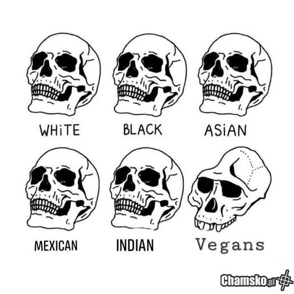 Vegan