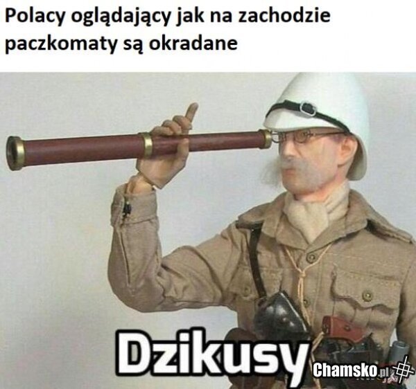 Elo