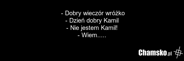 - Dobry wieczór wróżko - Dzień dobry Kamil - Nie jestem Kamil! - Wiem.....