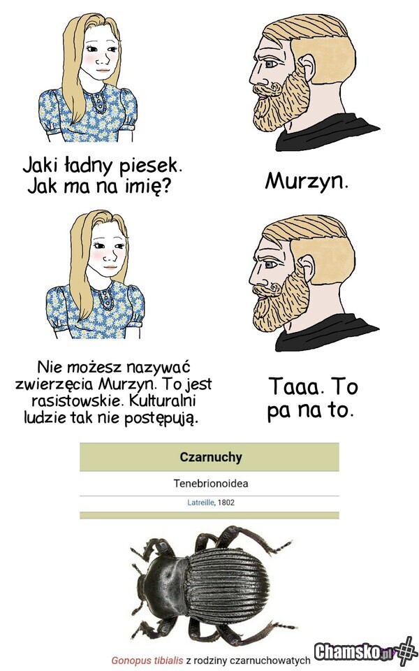 Rasizm! Wszędzie rasizm...