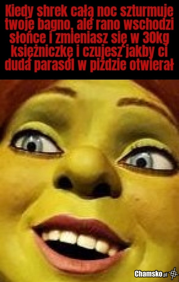 Shrek 5 potwierdzony