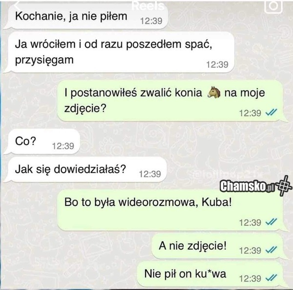 Konik