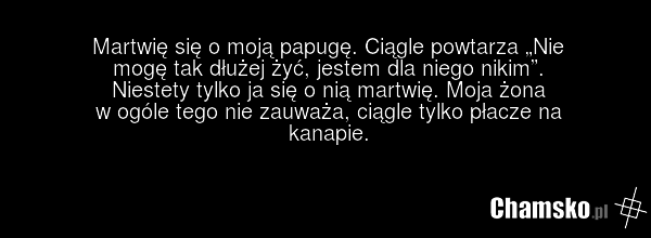 Papuga