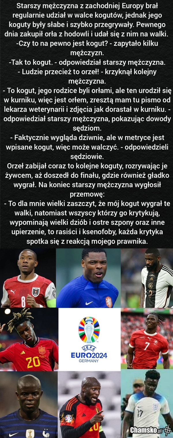 Walki Kogutów
