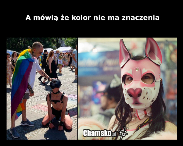 A Ty jakiem masz Psiecko ?